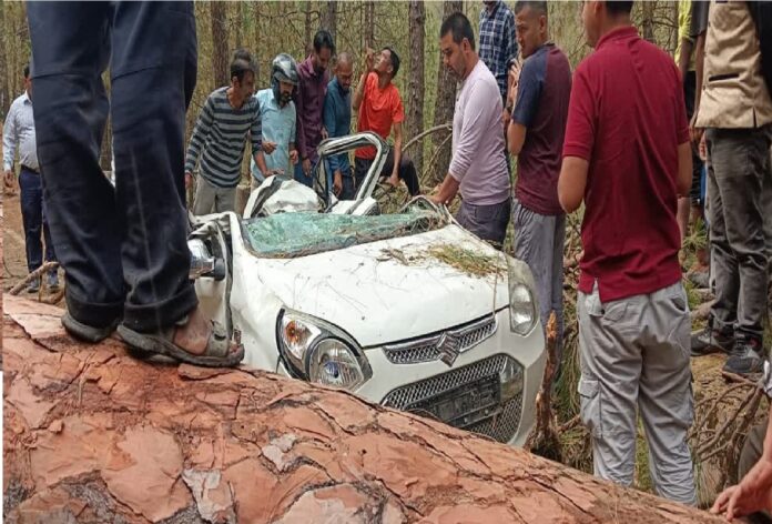 Uttarkashi road accident, Uttarkashi pine tree fell